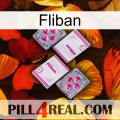 Fliban 33